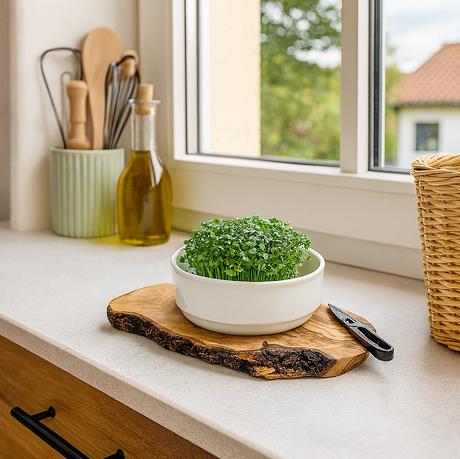 Kressestation mit Schere aus Olivenholz und Porzellan - Elysera