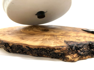 Kressestation mit Schere aus Olivenholz und Porzellan - Elysera