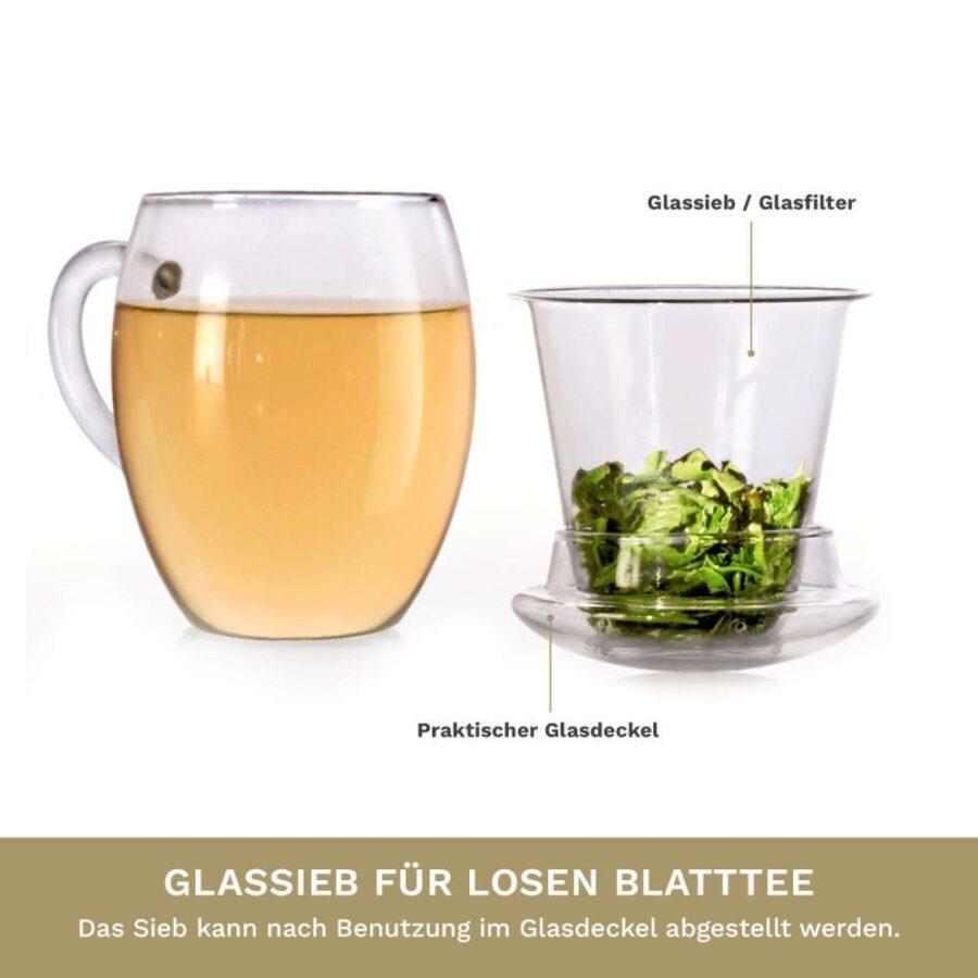 Creano TeeGlas “All-In-One” mit Glasfilter, 3-tlg. | 400 ml