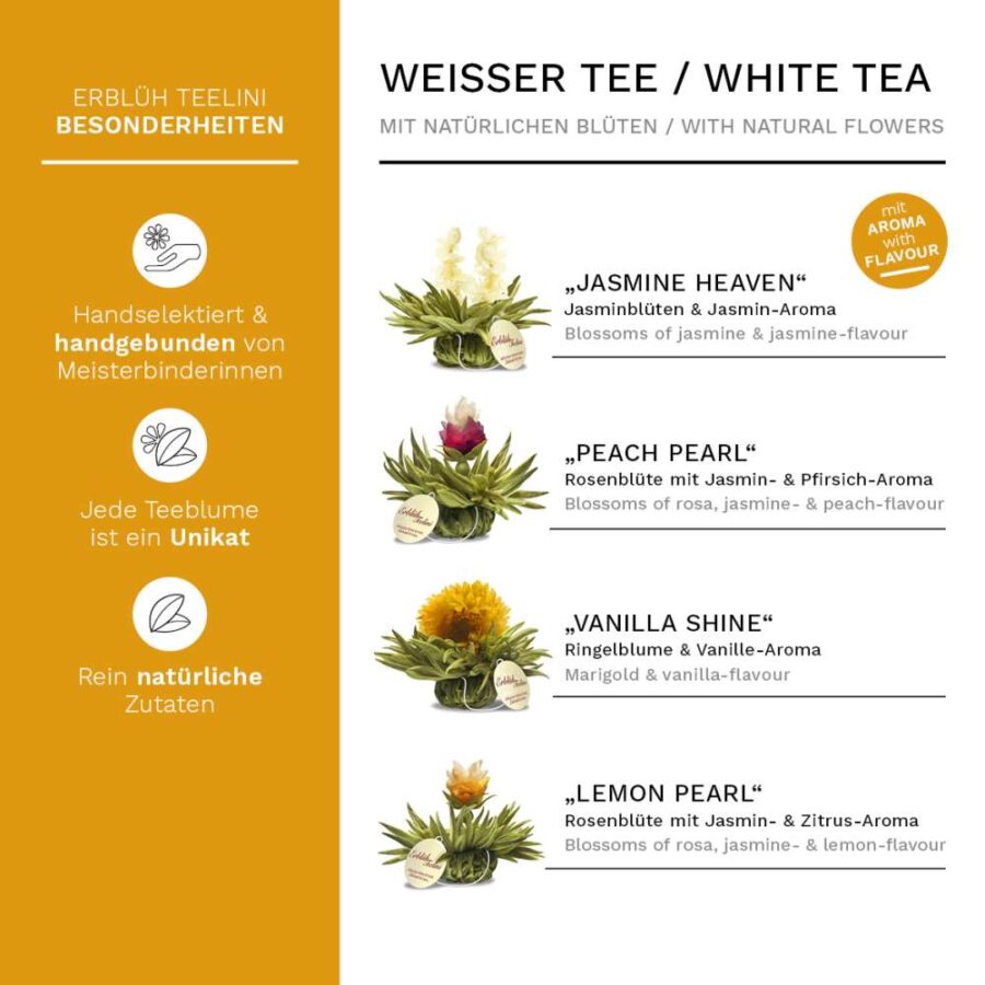 Creano ErblühTeelini Teeblumen Variation – Weißer Tee (8 Stück, 4 Sorten)