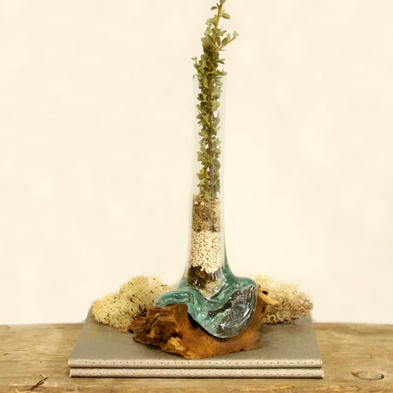 Glasvase auf Gamalholz 28cm